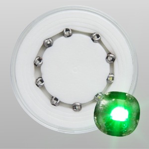 LED Green 세트(10개)